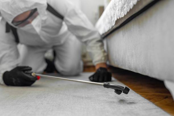 Professional Ant Control technician working in Buzzards Bay, MA